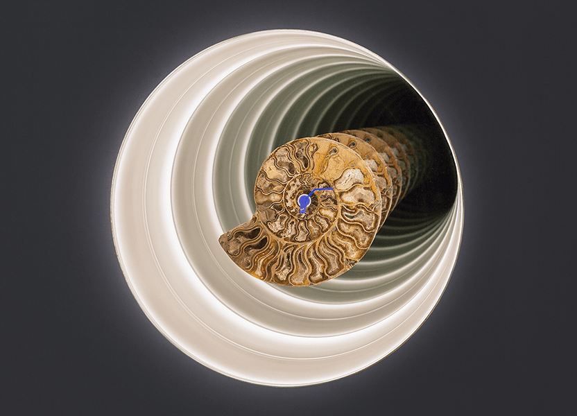 Cyprien Gaillard - Ammonite Dub, 2015