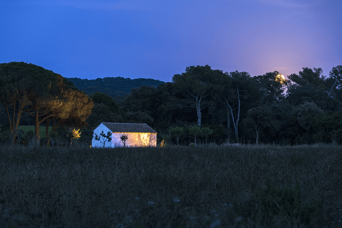 Jardins de la Villa Carmignac sous la Pleine Lune | Photo Camille Moirenc